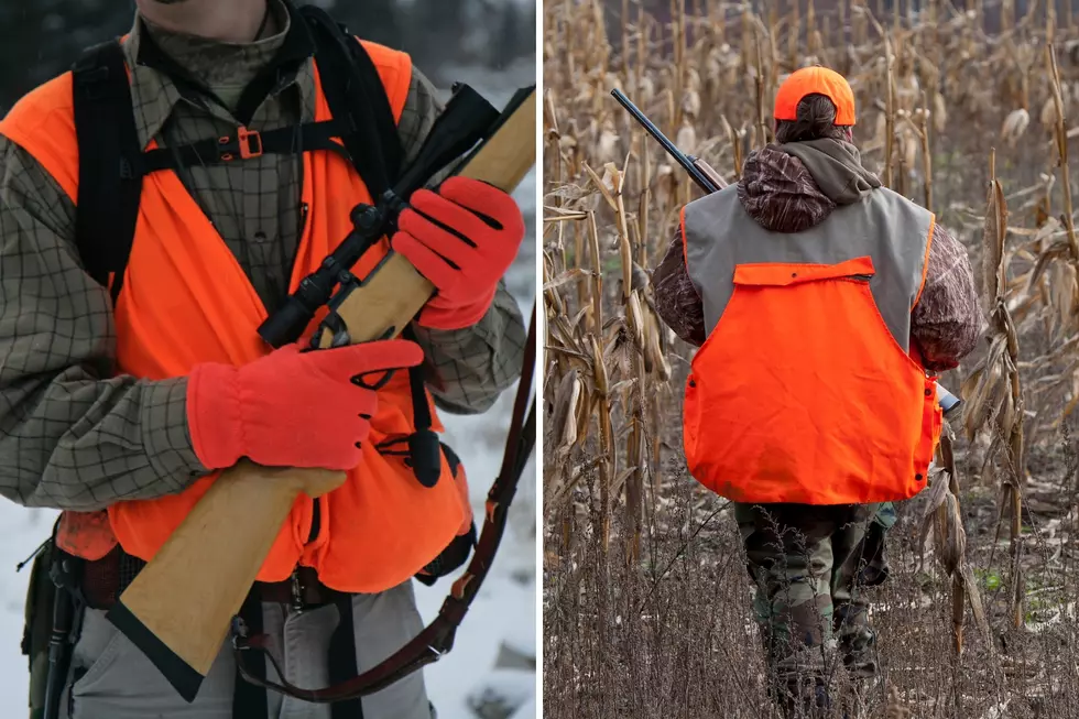 Crucial Reminder Before Eating Wild Game Meat During Minnesota’s Hunting Seasons